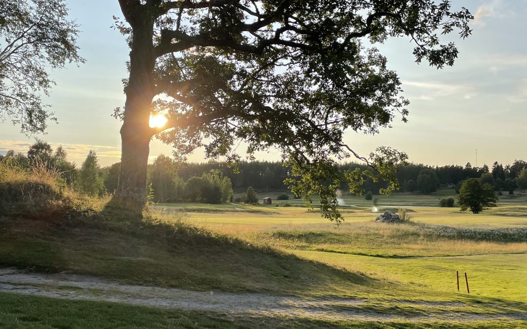 D60 Seriespel mot Waxholm