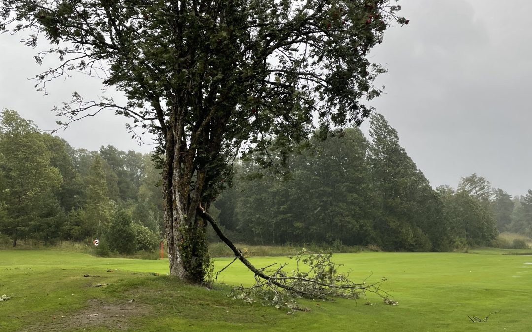 Resultat Ladies Torsdagsgolf 2025